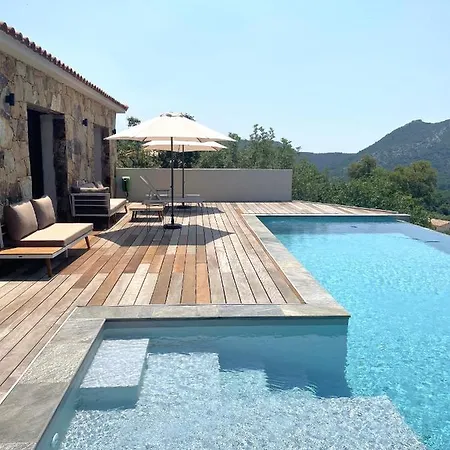 Concarella Di Villa *